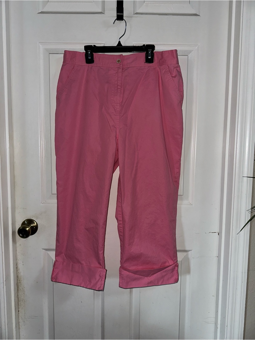 NWOT Napa Valley Pink Capris Size 16 Petite